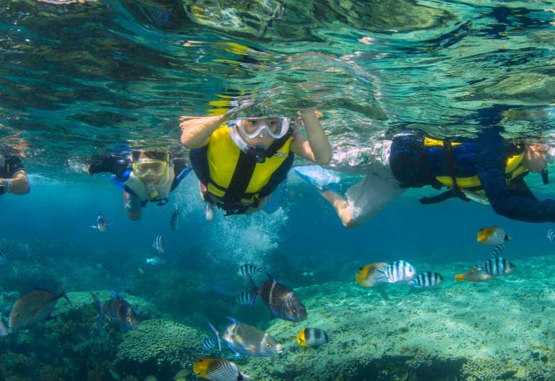 GUAM ACTIVITIES Fish Eye Tours Guam Activities, Entertainment, Lunch